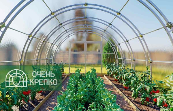 Теплица Усиленная Титан 4м фото 2