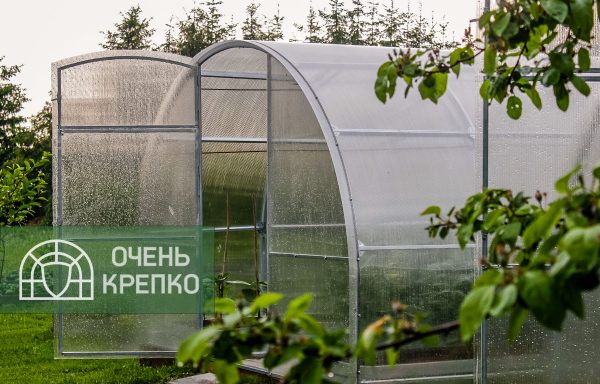 Теплица Усиленная Титан 3м фото 12