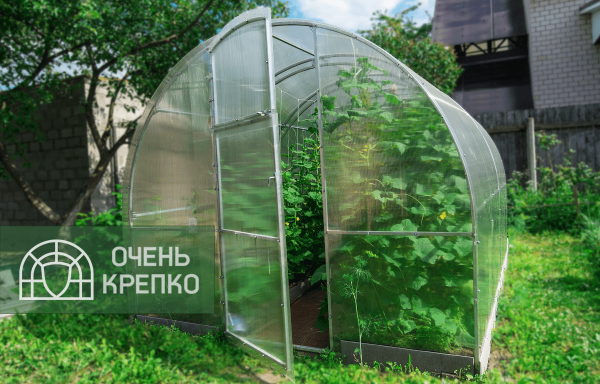 Теплица Звезда фото 2