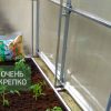 Теплица Пристенная 3м фото 3