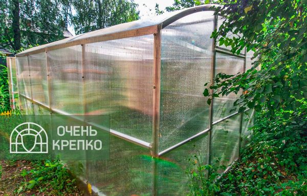 Теплица Квадратная 2,5м фото 4