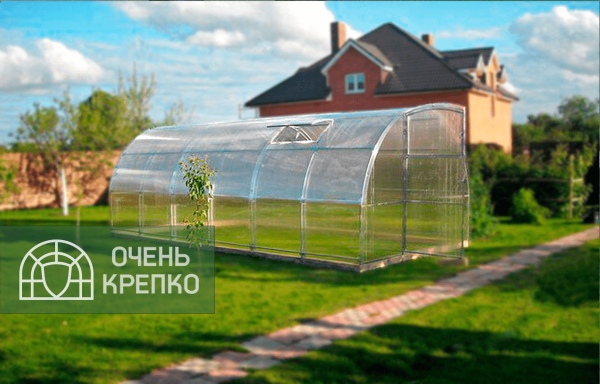 Теплица Звезда фото 6