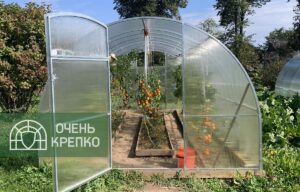 Теплица Звезда 3м ширина 3 м