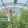 Теплица Сказка Титан 3м фото 9