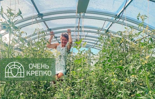 Теплица Сказка Титан 3м фото 9