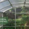 Теплица Квадратная 2,5м фото 3