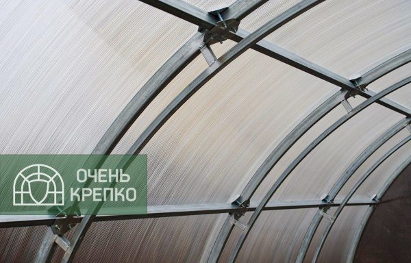 Теплица Усиленная фото 8