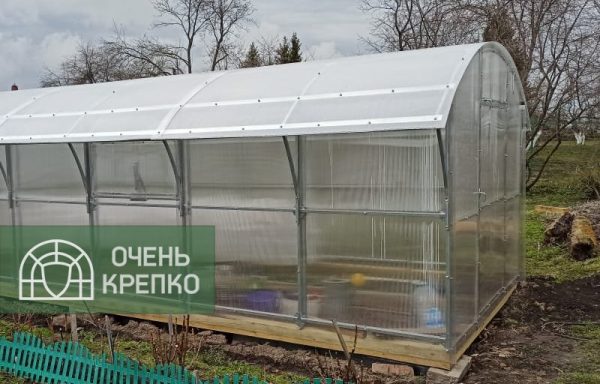 Теплица Гриб Люкс фото 2